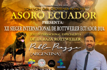 XII SIEGER INTERNACIONAL DE ROTTWEILER ECUADOR 2024